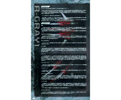 RayStorm R-Gray1